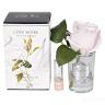 96СN-R46 Диффуз.Rose Bud French Pink,спрей White Gardenia 5мл уп в Ставрополе