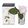 96CN-R4600 Диффузор Rose Bud French Pink,спрей Winter in Chatou 5мл уп в Ставрополе