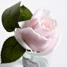 96CN-R4600 Диффузор Rose Bud French Pink,спрей Winter in Chatou 5мл уп в Ставрополе